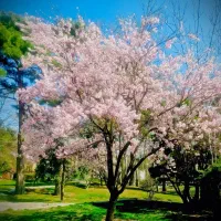 فن بیان نویسندگی تدریس کاربردی تضمینی|خدمات آموزشی|تهران, آجودانیه|دیوار