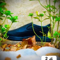 حراج کفش|کیف، کفش، کمربند|مشهد, محمدآباد|دیوار