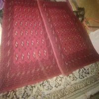 پشتی ترکمنی دست باف|پشتی|شیروان (خراسان), |دیوار