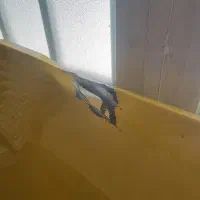 درب کاپوت ۴۰۵ تاکسی