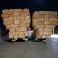 پرس گندم شمال