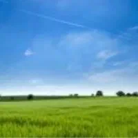 زمین کشاورزی عاشورا