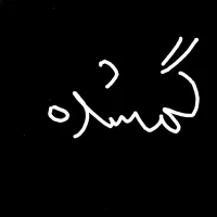 کیف مدارک گم شده