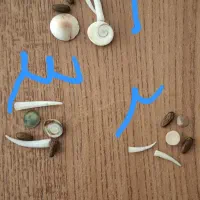 سنگهای قدیمی 2