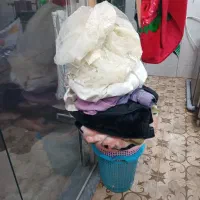 شاگرد  مغازه خشکشویی