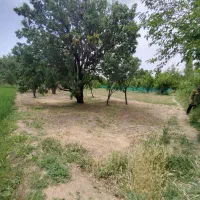 فروش زمین کشاورزی