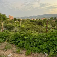 ۲۱۵ متر زمین با منظره کوهستانی جنگلی در تنگه لته|فروش زمین و ملک کلنگی|ساری, |دیوار