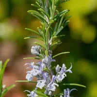 بالاای 20ملیون تومن در ماه استخدام نیرو خانم و آقا