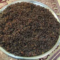 کشمش آفتابی