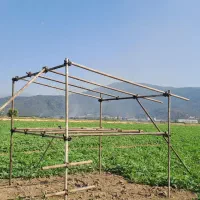 داربست و ایزوگام نامدار|خدمات پیشه و مهارت|گرگان, |دیوار