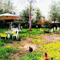 باغ ویلای دو خواب 3200 متری رشت