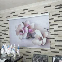 نصب وشستشو پرده با پایین ترین قیمت|خدمات پیشه و مهارت|پاکدشت, پاکدشت (مامازند)|دیوار