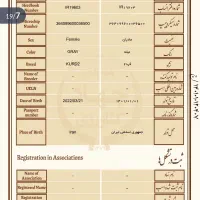 کره مادیان کرد