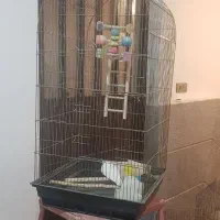 قفس پرنده