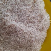 برنج هاشمی درجه یک سورتینگ شده ومعطر