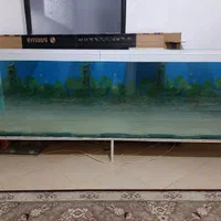 اکواریوم