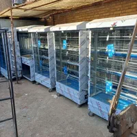 فرساندویچی کباب ترکی گریل اسنک جوجه گردان تنورگلی|کافی‌شاپ و رستوران|قشم, |دیوار