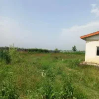 فروش‌زمین‌ شکاری 5360‌دور دیوارطرح‌ مسکونی