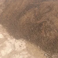 کود پوسیده گاوی وگوسفندی خاک باغچه تصمینی|خدمات باغبانی و درختکاری|هشتگرد, تهران دشت|دیوار