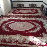 سلام فرش سالم نو نو هرکس خواست درخدمتم...