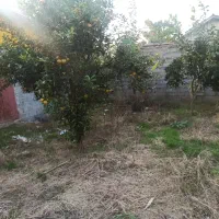 باغ ۵۷۰متری/با سوئیت ۵۰متری/با سند و مجوز و پروانه|فروش زمین و ملک کلنگی|زرگرشهر, |دیوار