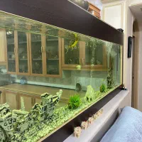 فروش اکواریوم|ماهی|زرند, |دیوار