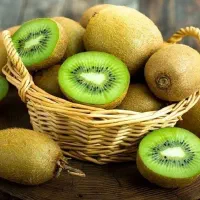 باغ کیوی ۳ هکتاری دارای ۷ سردخانه ، نقد یا تهاتر