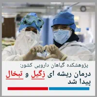درمان ریشه ای زگیل و منگوله گوشتی درعرض ۳ روز
