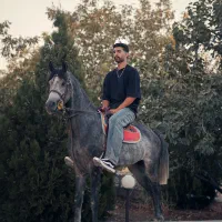 نریون عرب سواری دار