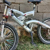 دوعدد دوچرخه