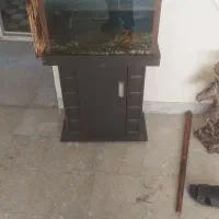 لوازم خانگی|سایر لوازم برقی|ری, دیلمان|دیوار