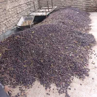 خریدار آهن ضایعات و خرما کده هستم|خدمات پیشه و مهارت|بم, |دیوار