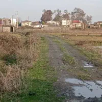 زمین-کشاورزی