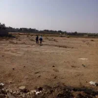 زمین  زراعی