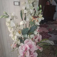 گل مصنوعی و گلدان|گل مصنوعی|مشهد, کارمندان دوم|دیوار