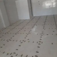 تخریب وبازسازی  کلیدی|خدمات پیشه و مهارت|اهواز, زندوکیلی|دیوار