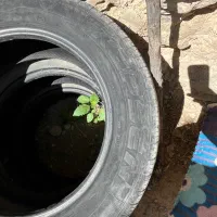 لاستیک ۲۰۵