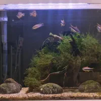 اکواریوم و وسایل