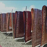 حمل رایگان و شستشوی تخصصی اهواز|خدمات نظافت|اهواز, کوی علوی|دیوار