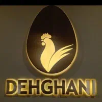 نیروی خانم مجرد