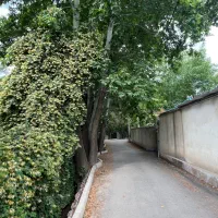 باغچه داخل بافت چهار دیواری