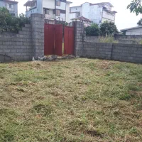 تراشیدن علفهای هرز با دستگاه|خدمات باغبانی و درختکاری|رامسر, |دیوار