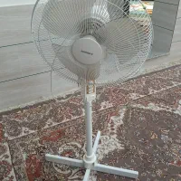 پنگه سانی