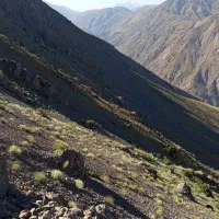کارت ملی منوچهر محمدی حاجیوند گم شده