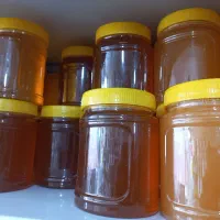 پخش عسل خالص کوهستان(مشاغل خانگی و مغازه دارها)
