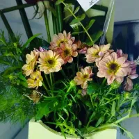 باکس گل زیبا|گل و گیاه طبیعی|کاشمر, |دیوار