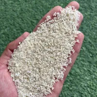 نیم دانه درشت فجر