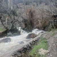 اجاره روزانه/هفتگی/ماهانه آپارتمان ۹۵متری دو خوابه|اجارهٔ کوتاه‌مدت آپارتمان و سوئیت|منجیل, |دیوار