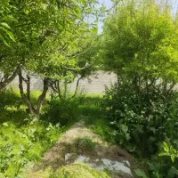 1هکتار زمین کشاورزی معاوضه با ماشین یا خونه