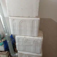 ۴ عدد اکاسیف ماهی یا یخ دون